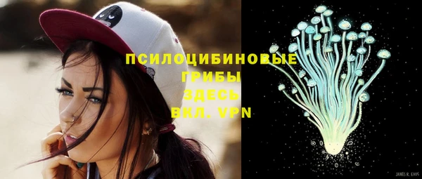 ешки Алексин