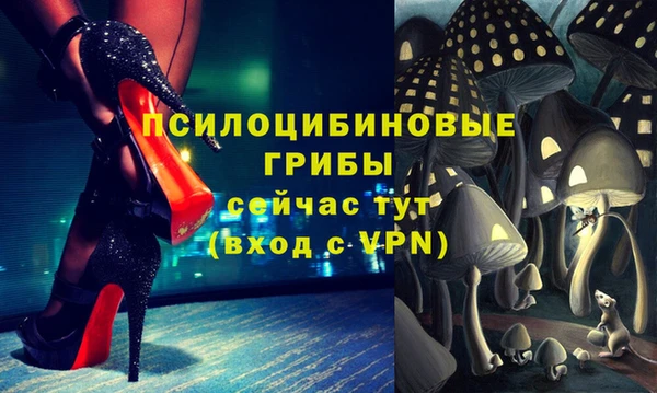 mdpv Алзамай