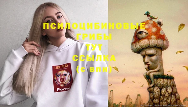 mdpv Алзамай